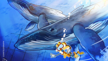 as-bitcoin-price-staggers,-‘whale’-wallets-may-be-becoming-an-endangered-species