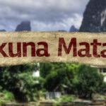 no-worries-with-hakunamatata?-–-where-to-buy-hakunamatata