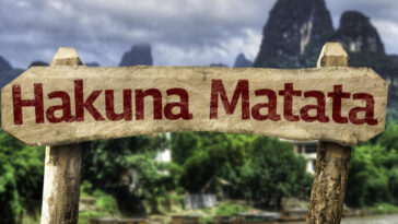 no-worries-with-hakunamatata?-–-where-to-buy-hakunamatata