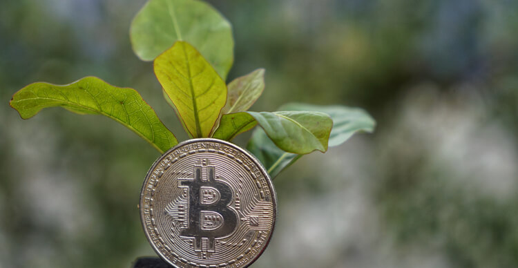 renewable-bitcoin-mining-firm-backed-by-global-influencers