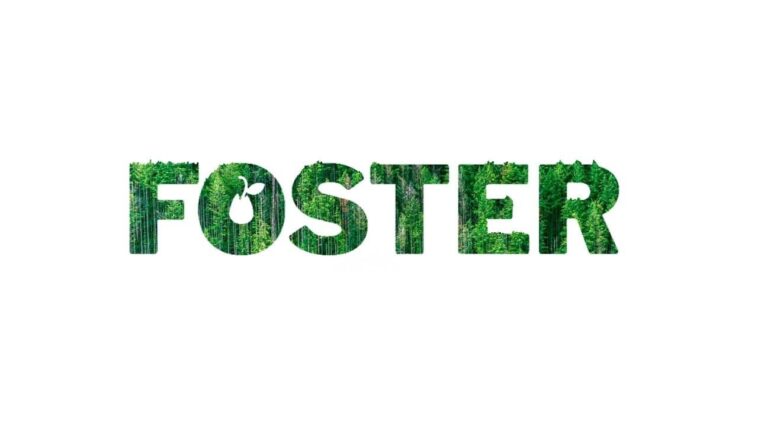 solving-the-climate-change-problem-using-blockchain-technology-–-start-of-the-foster-project