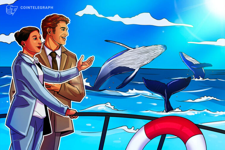 new-bitcoin-entities-near-all-time-high-as-analyst-heralds-‘positive-whale-activity’