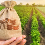 where-to-buy-harvest-finance:-farm-up-by-88%-this-week