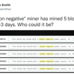 what-is-a-“carbon-negative”-bitcoin-block-anyway?