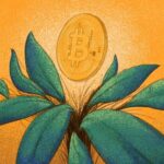genesis-digital-assets-raises-$125-million-to-expand-bitcoin-mining-operations