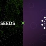 nodeseeds-launches-three-tier-membership-to-ensure-transparency-and-fair-allocation-of-projects