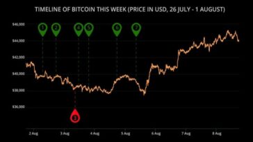 as-the-bitcoin-price-hits-$45,000,-is-the-next-bull-run-beginning?