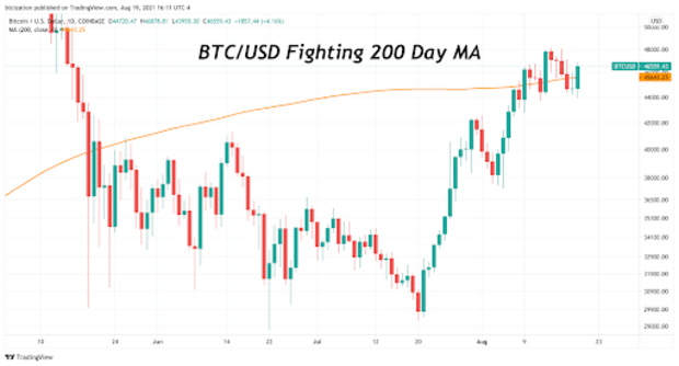 this-market-trend-shows-the-bitcoin-price-is-ready-for-next-leg-up