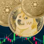 dogecoin-millionaire-says-he’s-going-‘all-in’-on-cardano-—-bullish-on-both-doge-and-ada