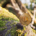 cryptowisser-:-cryptocurrency-likely-to-be-more-environmentally-friendly-than-traditional-banks