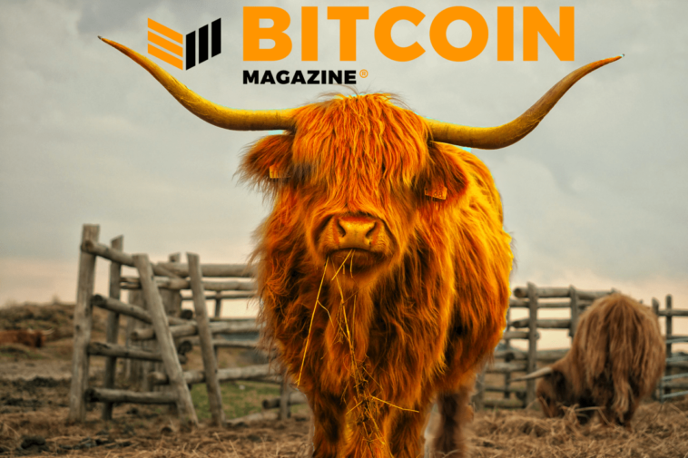 bull-bitcoin-exchange-to-integrate-lightning-network