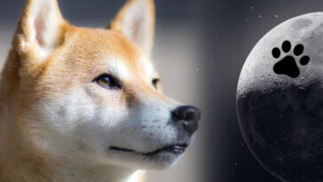 dogecoin’s-four-legged-fall-—-doge-slides-to-9th-market-cap-position-dropping-18%-last-month