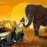 africa’s-crypto-market-has-grown-by-more-than-1,200%-since-2020:-chainalysis
