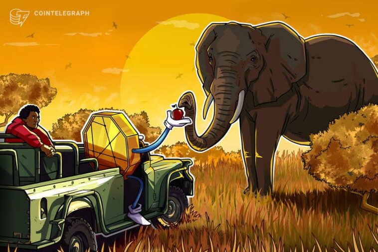 africa’s-crypto-market-has-grown-by-more-than-1,200%-since-2020:-chainalysis