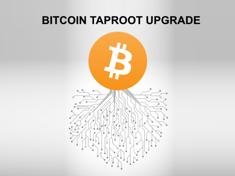 -a-major-bitcoin-upgrade-activated-|-this-week-in-crypto-–-nov-15,-2021