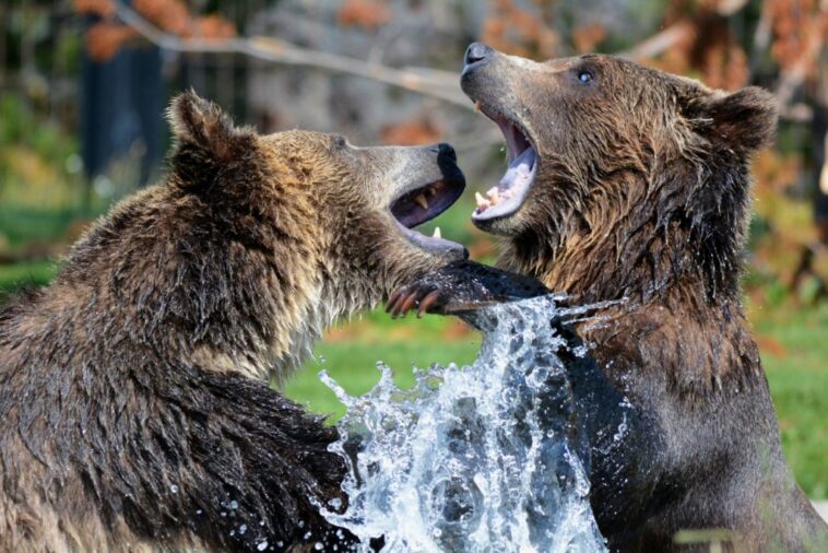 highlights-april-11:-market-bearish,-knc-crashes-top-100