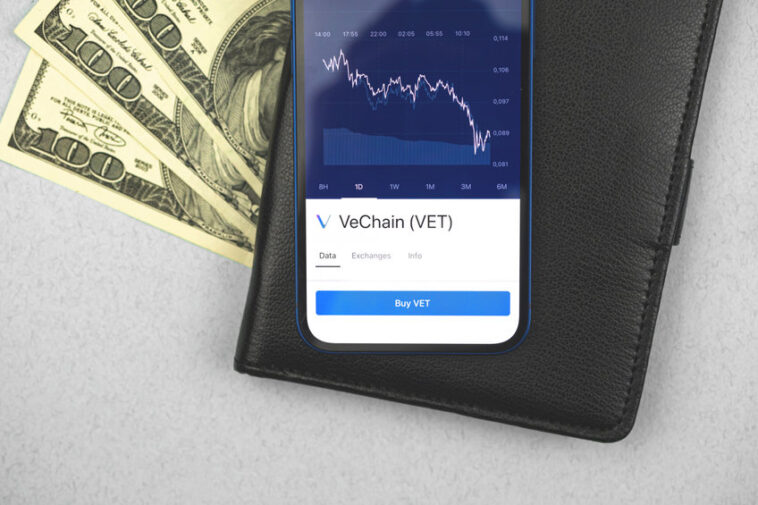 vechain-–-why-it’s-a-high-potential-altcoin-to-buy-in-the-bear-market