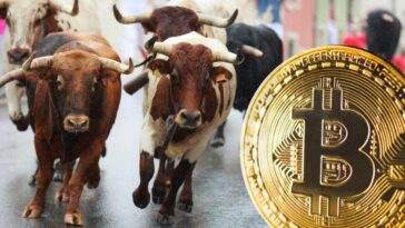 devere-group-predicts-a-bull-run-and-‘significant-bounce’-for-bitcoin-in-q4