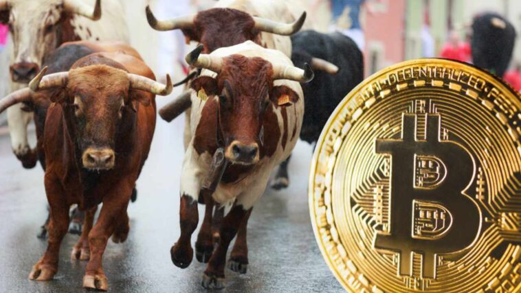 devere-group-predicts-a-bull-run-and-‘significant-bounce’-for-bitcoin-in-q4