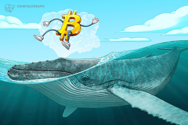 btc-price-tops-10-day-highs-as-bitcoin-whale-demand-sees-‘huge-spike’