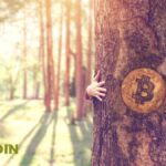 bitcoin-is-a-net-benefit-to-the-environment