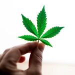 bitcoin-can-finance-growth-in-the-cannabis-industry