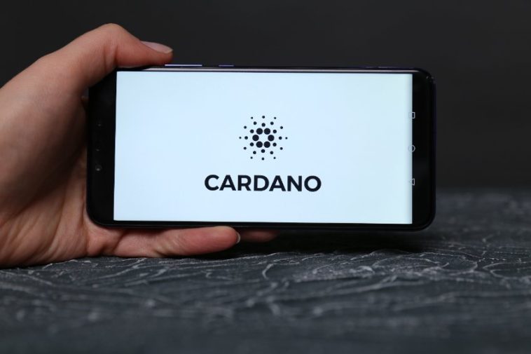 cardano-predicted-a-further-60%-decline.-does-the-price-action-show-this?