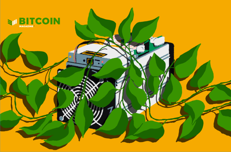 one-of-america’s-largest-hemp-processors-makes-entry-into-sustainable-bitcoin-mining