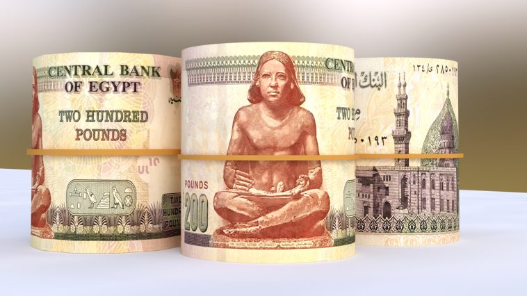report:-egyptian-pound-reaches-new-low-against-us-dollar-despite-flexible-exchange-rate-regime