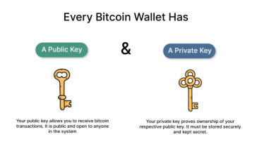 what-is-a-wallet?-guide-to-storing-bitcoin