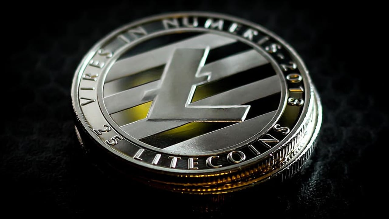 litecoin’s-daily-transaction-count-remains-elevated-as-ltc-ordinals-approach-4-million