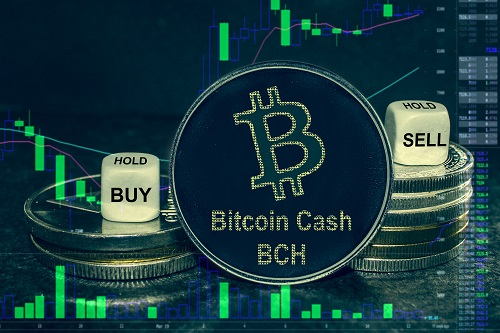 bitcoin-cash-jumps-to-14-month-high-amid-south-korea-volume-spike