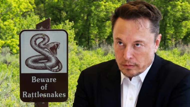 elon-musk-sparks-controversy-with-twitter-rate-limits-—-censorship-expert-says-musk-‘has-stepped-on-a-rattlesnake’